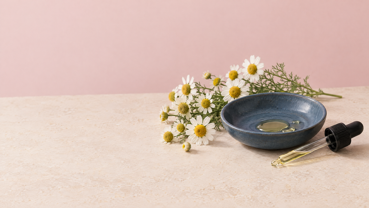 German chamomile flowers beside a slate blue dish holding drops of clear, pale golden oil on a warm stone surface.
