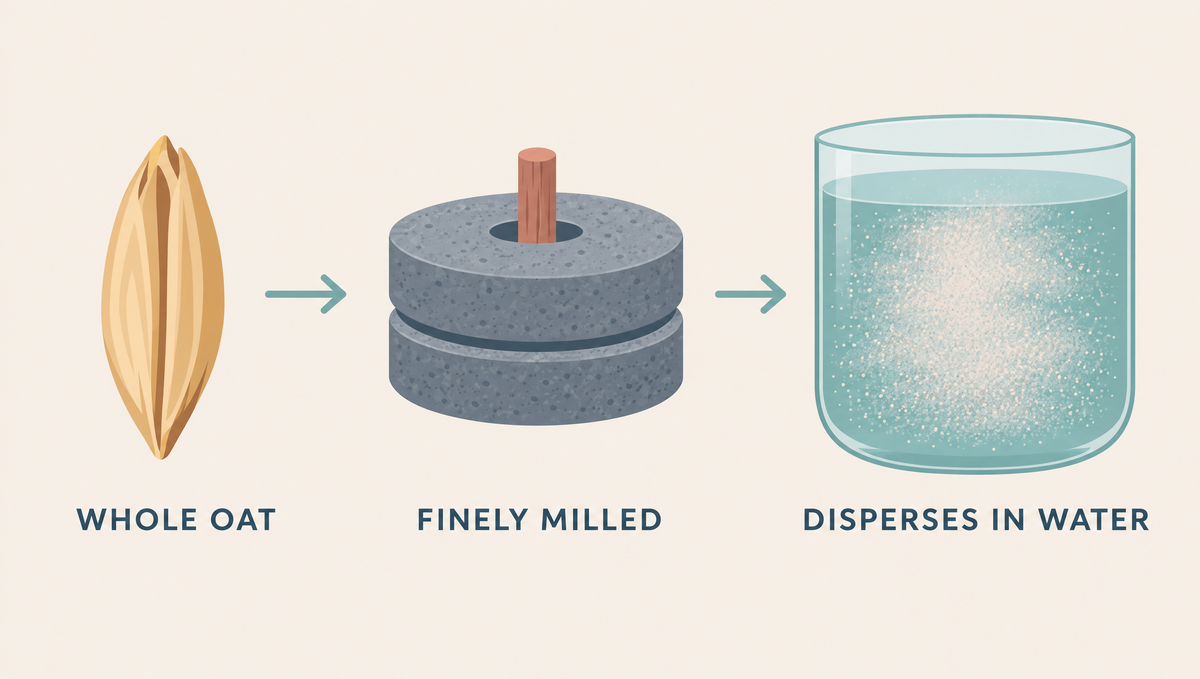 Diagram of a whole oat grain passing through a mill and becoming fine powder spread evenly through water.