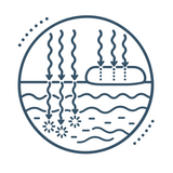 Line icon: UV rays reaching deep into unprotected skin on one side, and absorbed by a sunscreen layer on the other.